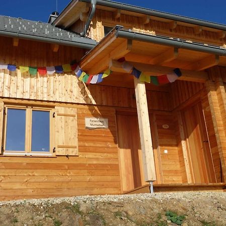 Ferienhaus Murmeltier Am Klippitztoerl Klippitztorl Luaran gambar